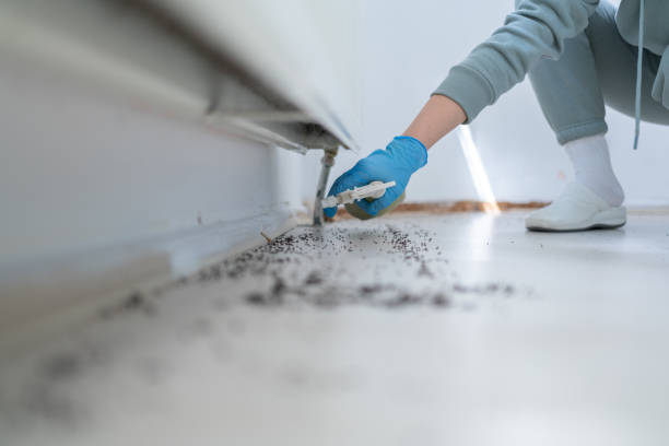 Pest Prevention Services in Cedar Hill, MO